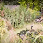 Calm Scottish Country Escape With Hot Tub Sleeps 6