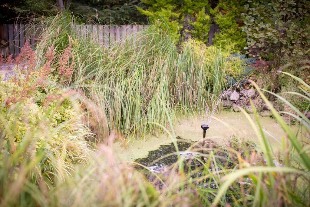 Calm Scottish Country Escape With Hot Tub Sleeps 6 Holiday home *